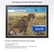 ArtToFrames 24x18 INCH / 61x46 CM Puzzle Frame for 300 piece Puzzles.This 1.00 Inch Custom Wood Frame for Puzzles Comes with Economy Acrylic, Available in Multiple Colors